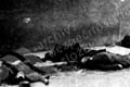 Oběti hramadné vraždy spáchané příslušníky SS v ulici Pod Habrovou v Praha5-Barrandov (zdroj: ABS) (zdroj: ABS)