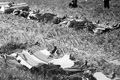 Do společného hrobu byli pohřbeni čs. vojáci, kteří padli při povstání českého národa proti německým okupantům a dále občané, kteří byli zavražděni příslušníky SS 7.5.1945 v Lahovicích (zdroj: ABS)