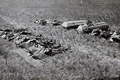 Do společného hrobu byli pohřbeni čs. vojáci, kteří padli při povstání českého národa proti německým okupantům a dále občané, kteří byli zavražděni příslušníky SS 7.5.1945 v Lahovicích (zdroj: ABS)