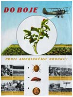 Propagandistický plakát z 50. let „Do boje proti americkému brouku!“ (zdroj: Národní zemědelské muzeum)